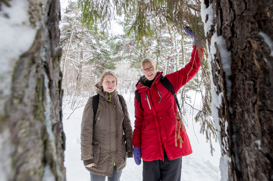 Niina Ylipahkala ja Tuire Luhtaa sisovat lumisessa metsässä.